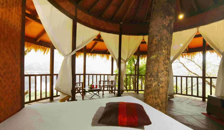 Rainforest Resort, Athirappilly, Kerala Rainforest Resort, Athirappilly, Kerala