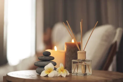 image for article 9 Top Wellness Retreats in India for Luxury Healing Vacations			