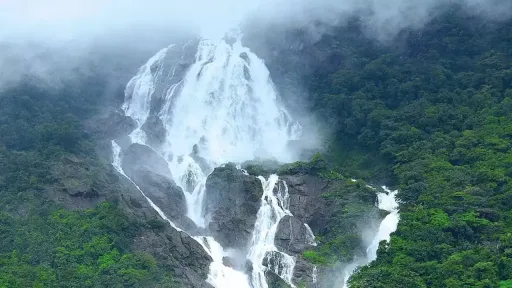 image for article Most Beautiful Waterfalls in India to Visit This Year