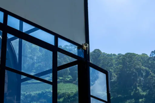 image for article 5 Best Glass House Stays in India With Scenic Views