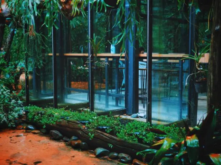 The Glasshouse on the Ganges, Rishikesh, Uttarakhand