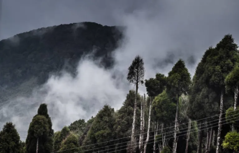 Sandakphu, West Bengal