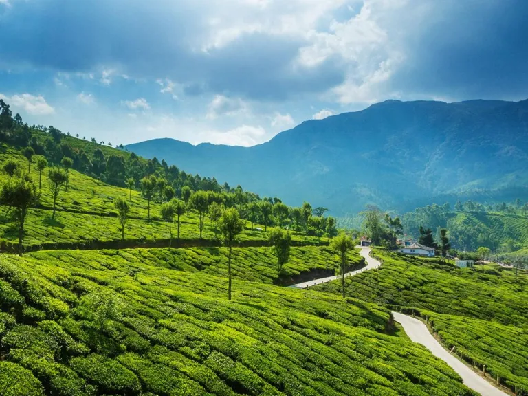 Kerala: one Indian state, four exhilarating ways | The Week