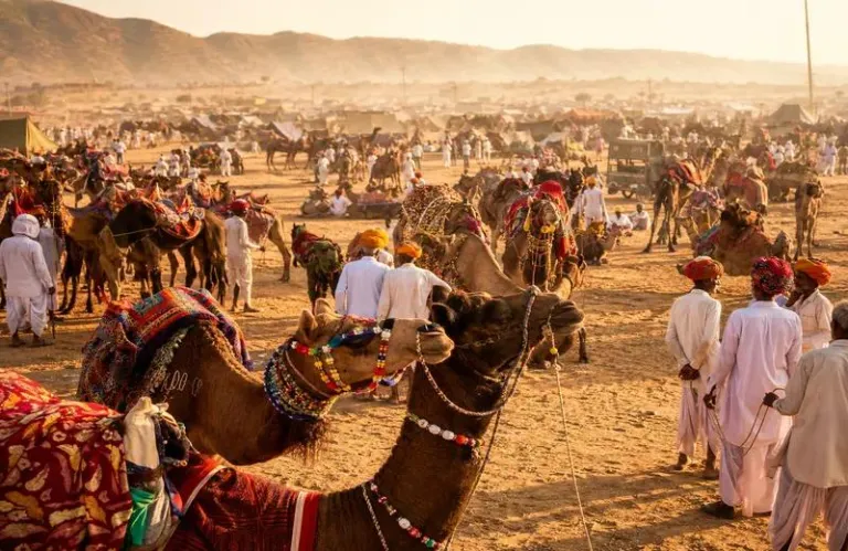 Pushkar, Rajasthan: Lake, Ghats and the Camel Fair
