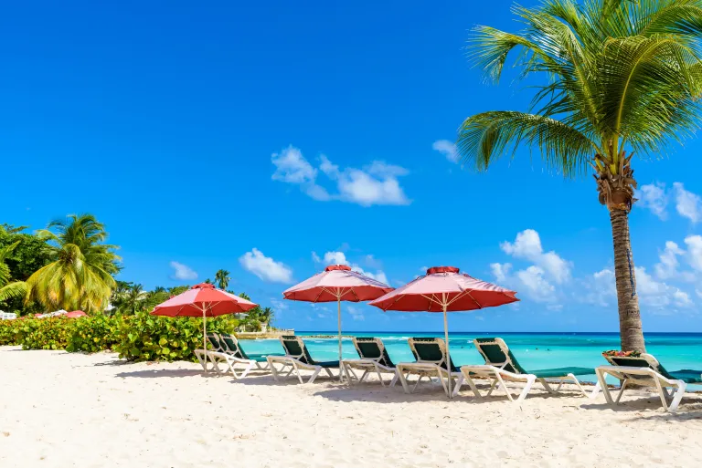  Caribbean coastline and tropical beach scenery at Dover Beach, Barbados.