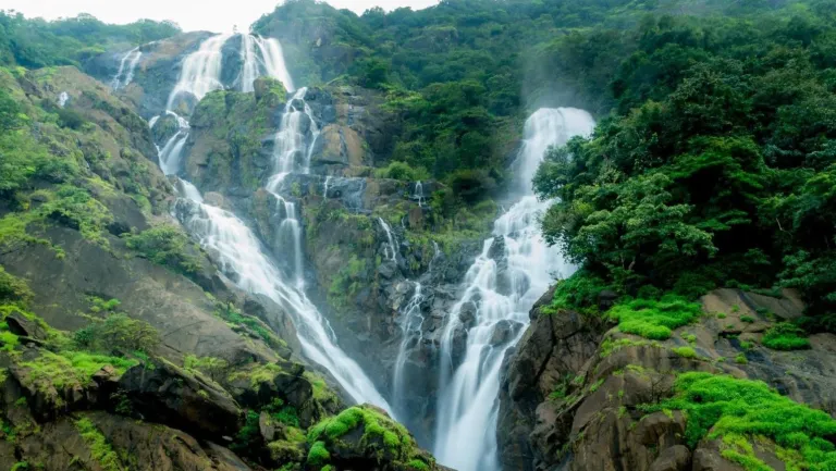 Chasing the Milky Falls: Dudhsagar Trek Adventures Await | Beat
