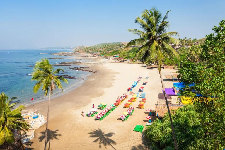 Book La Vida Colva Beach Resort online for the best rates