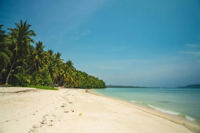 Andaman vs. Lakshadweep: Where to Make Memories in 2026