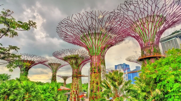 Gardens by the Bay, Singapore 