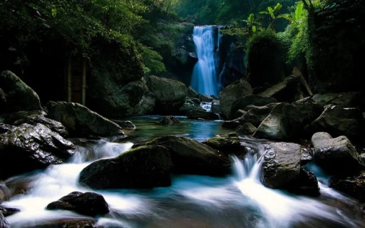 image for article Avoiding Crowds at India's Top Waterfalls