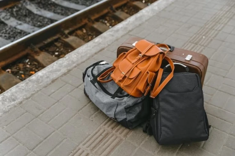  Multipurpose Travel Bag