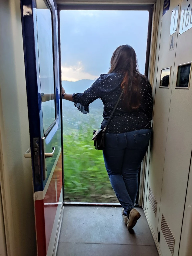 Train Journey From Nuwara Eliya To Ella