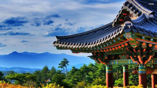 image for article 20 Must-Do activities in South Korea for an unforgettable trip