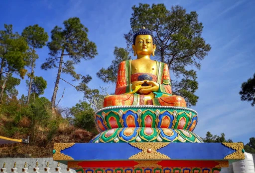 image for article 10 reasons to Visit Chail - Himachal Pradesh for Peace loving souls 