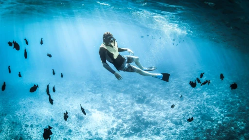 image for article 6 Adventurous Places to snorkel in India