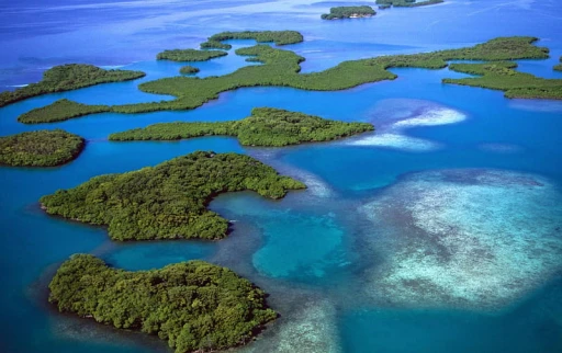 image for article Explore these Destinations in India suggested by Celebrities, Over Maldives!