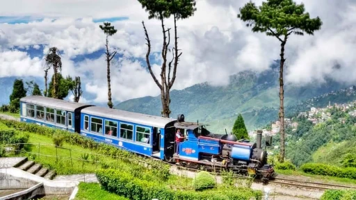 image for article Complete Travel Guide to Darjeeling 2024: Things to do and more! 