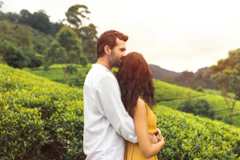 Munnar: Where Love Flourishes Among Tea Gardens
