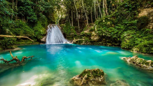 image for article 10 Unmissable Things to Do in Jamaica