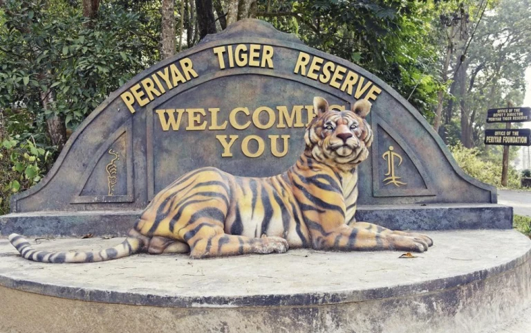 Explore the untamed beauty of Periyar Tiger Reserve in Kerala.