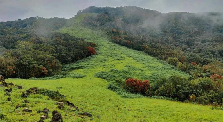 Agumbe Rainforest Trek