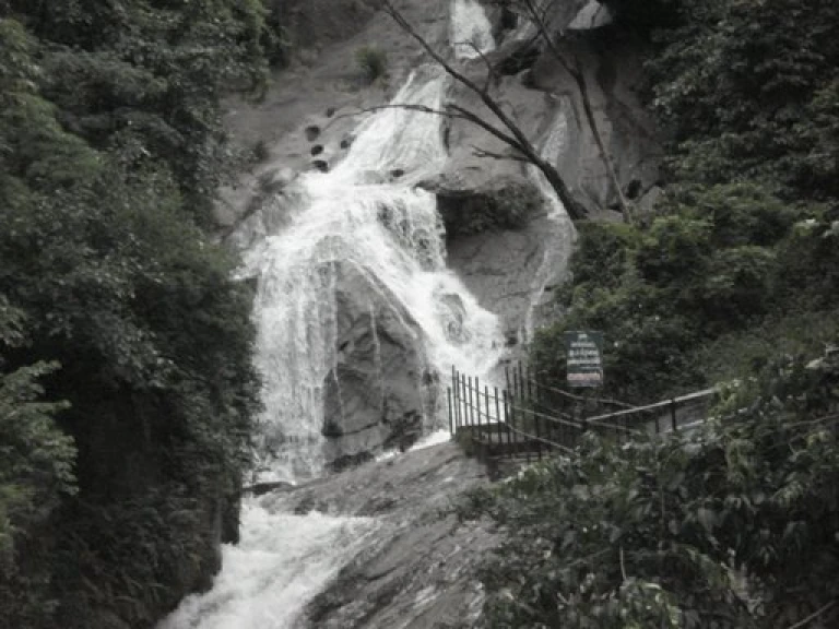 Siruvani Waterfalls: Nature&#039;s own symphony, cascading serenity amidst lush greenery.