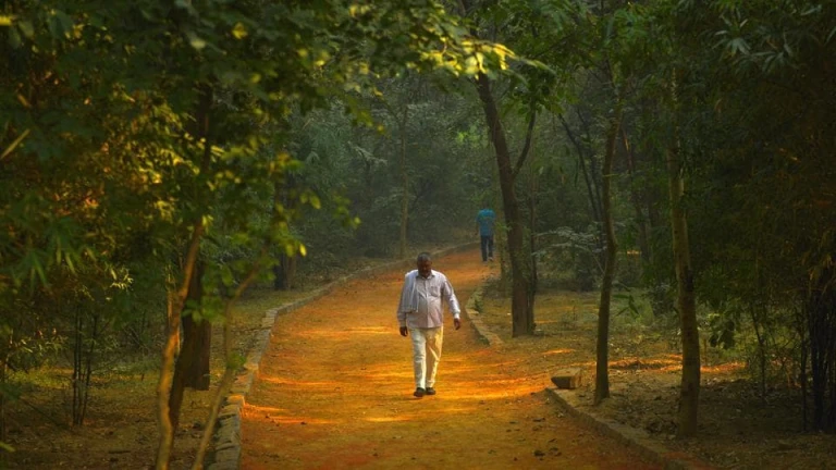 Into the Enigmatic Depths of Sanjay Van.