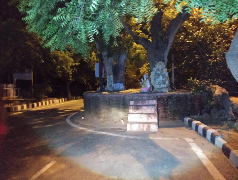 The Haunted Tree of Dwarka Sector 9 Where Shadows Hold Secrets