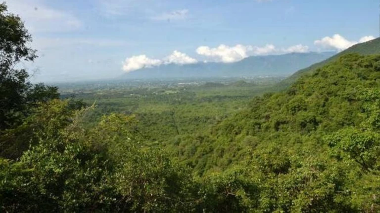 Pachaimalai Hills