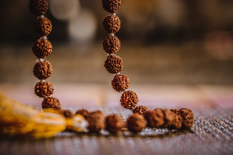 Rudraksha The Sacred Seed With Powerful Benefits