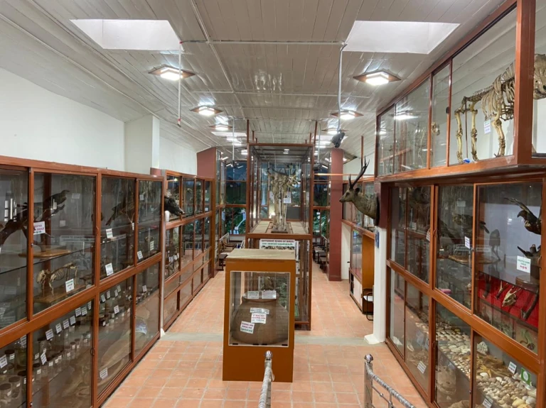 Shembaganur Museum of Natural History