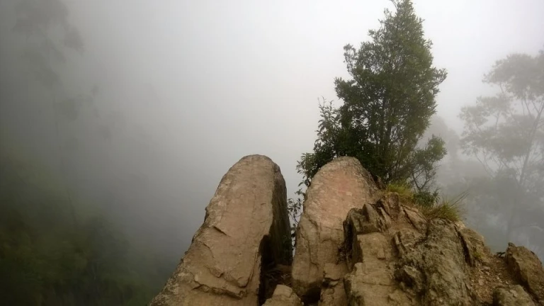 Dolphin&#039;s Nose Viewpoint Trek