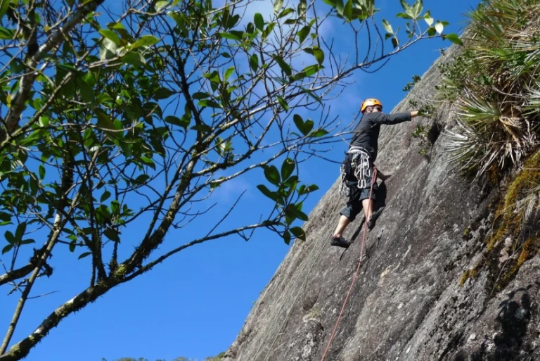 Rock climbing or rappelling at Adventure Rock Hill