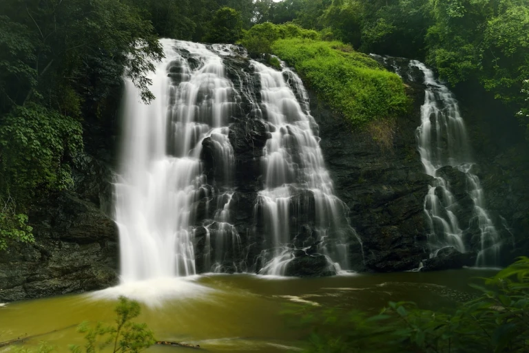 Coorg in Spring Time