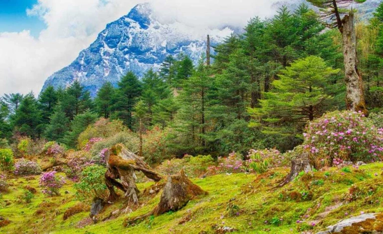 Gangtok, Sikkim in Spring Time