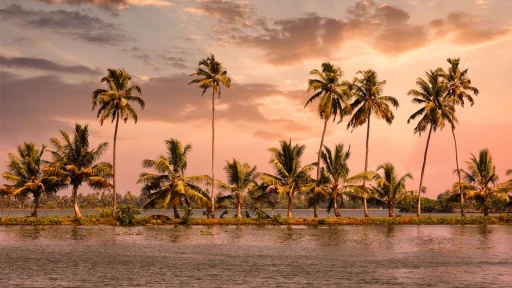 image for article Challenge Your Fears with 6 Adventure Sports in Kochi in 2023!