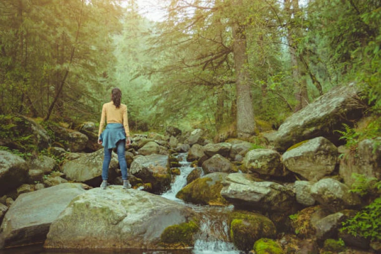  Indian young traveler enjoying fresh air in pine tree jungle at  Chopal, Himachal Pradesh, india.