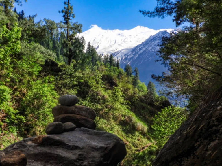 Green pasture and the snowy mountains behind in Leh, Ladahk India