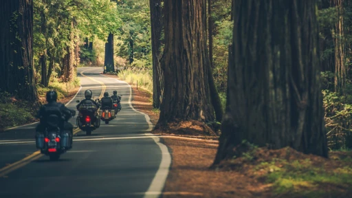 image for article Bike Trips from Bengaluru: Explore on Two Wheels