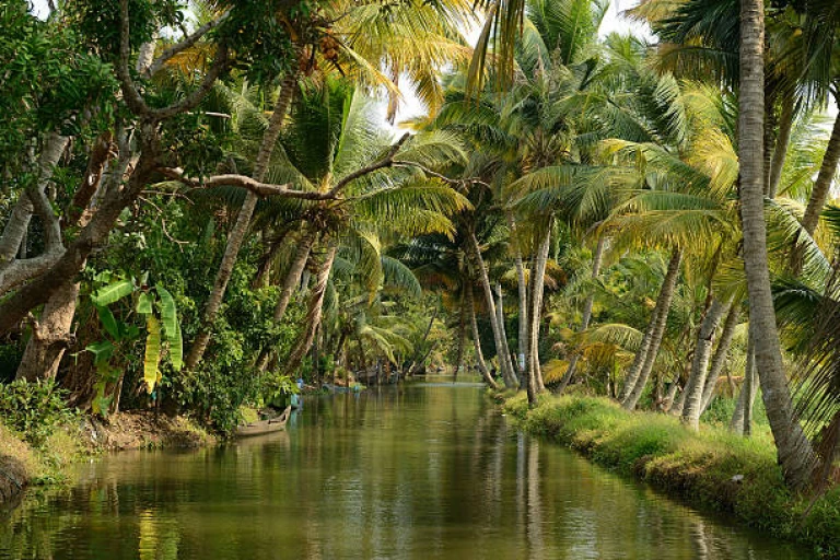 Kumarakom Kerala&#039;s backwaters 