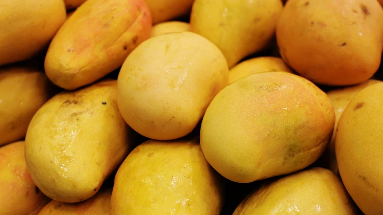 Mango Festival