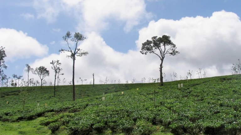 Nelliyampathy, Kerala