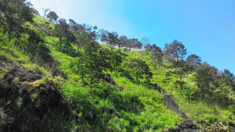 Vagamon, Kerala