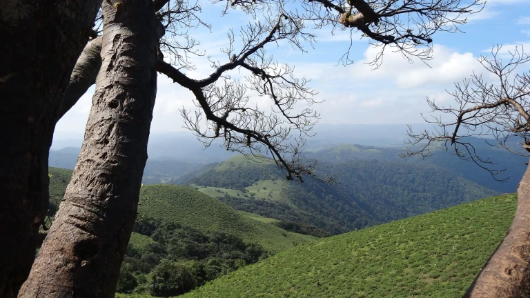 Coorg, Karnataka