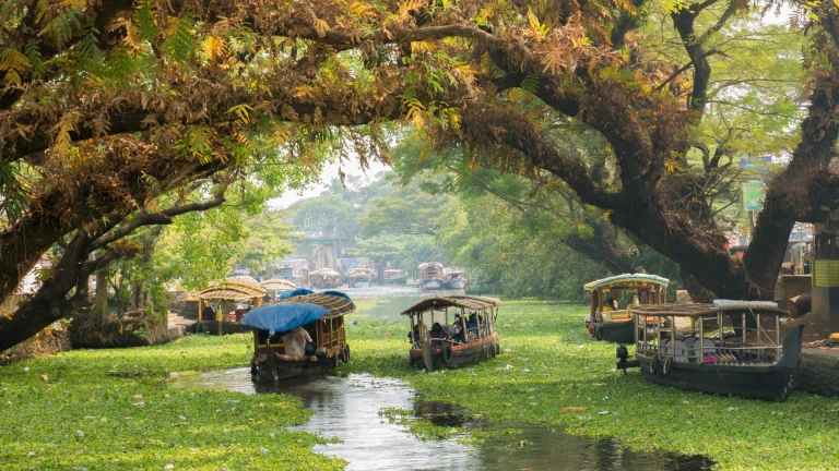 Alleppey, Kerala