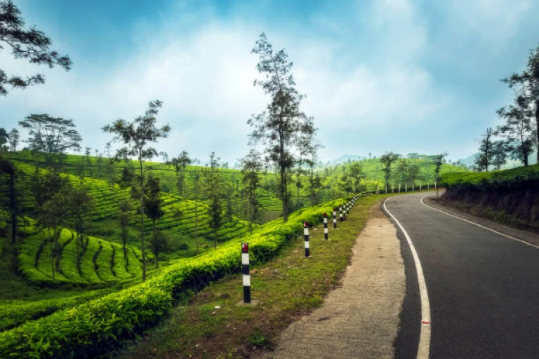 Road  to Top picks in Kerala