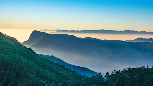 image for article Munnar vs Shillong: Which is Your Perfect Summer Getaway?
