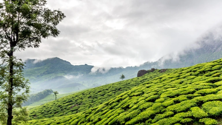 Munnar