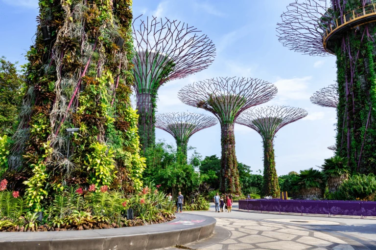 Singapore Retains Title as Asia&#039;s Happiest Country