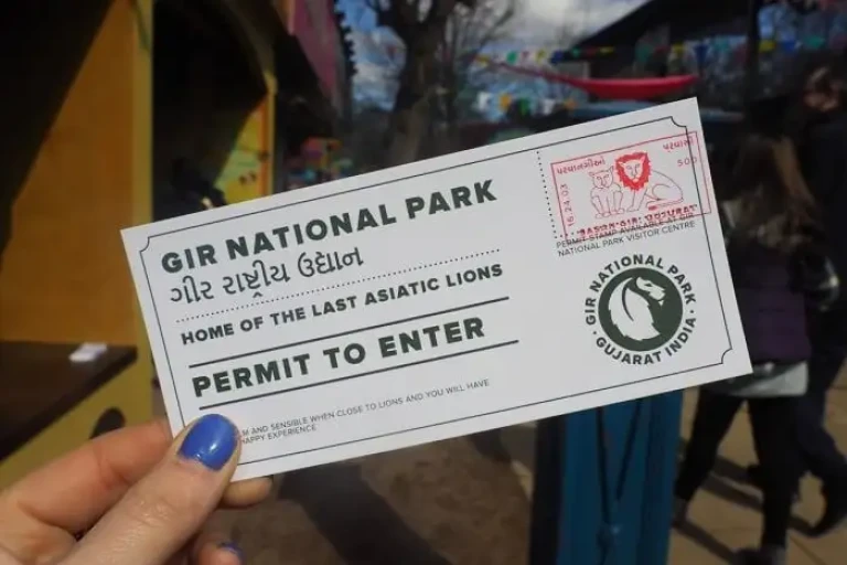 Gir National Park Gujarat Entry Permits